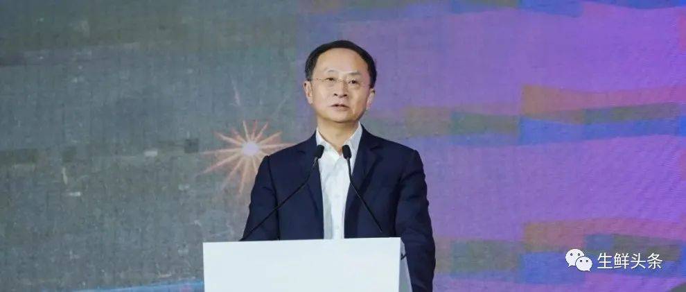 Dmall董事长张文中:如何“彻底回归”商业本质?_数字化_零售_实体