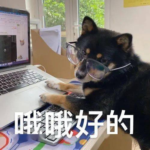 可爱沙雕表情包