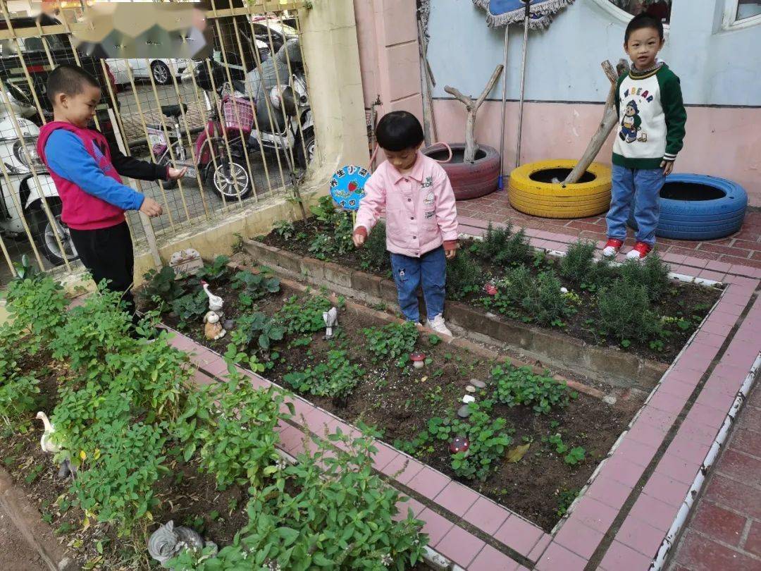 “播种希望，收获快乐”——北流市新世纪幼儿园种植区活动-玉林新世纪教育城