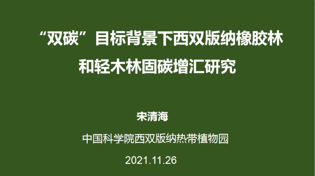 雨林英才论坛宋清海双碳目标背景下西双版纳橡胶林和轻木林固碳增汇