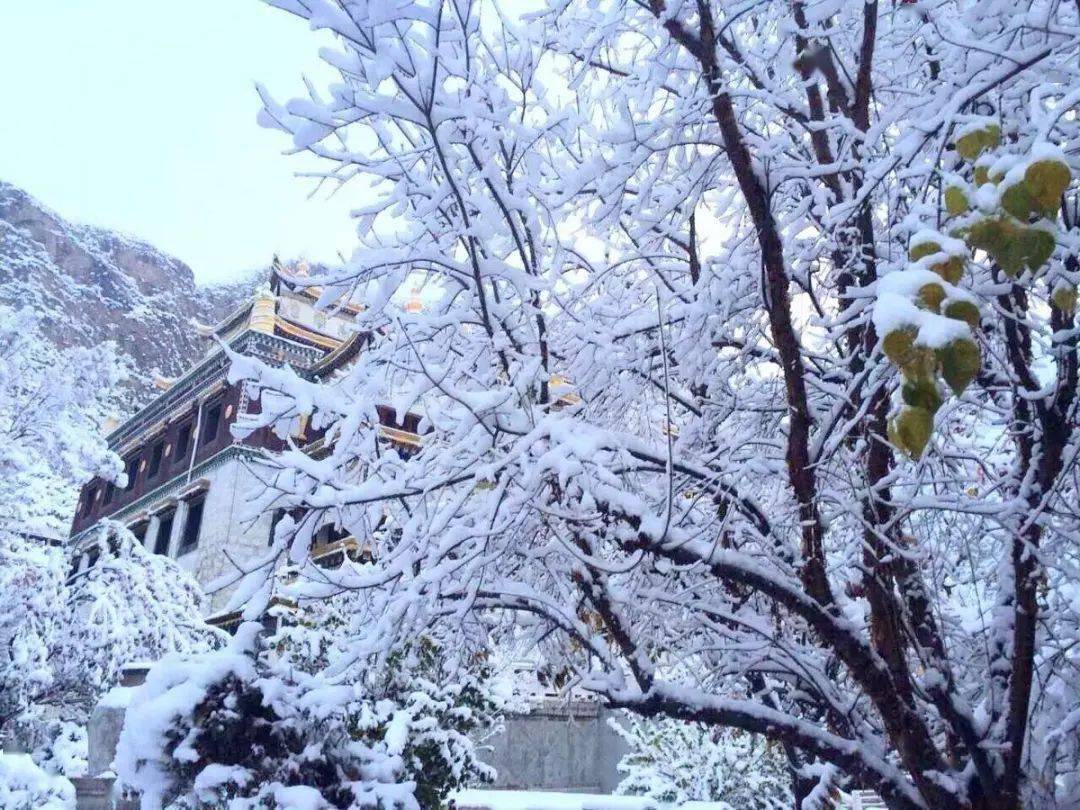 天堂寺,這是一個千年的傳奇,藏於山水之間,似乎不問世事.