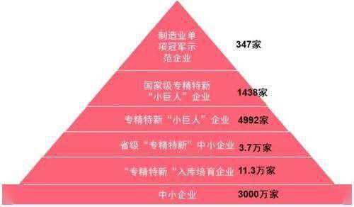 我国中小企业已形成较为完整的层级划分