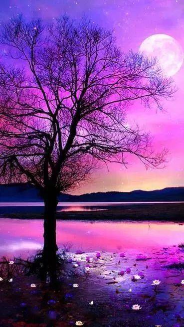 12月第一天送你一条漂亮的微信看完心情快乐一整天