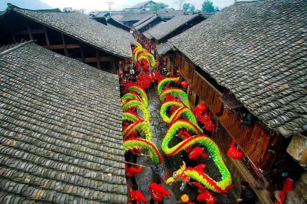 贵州唯一寨英滚龙获国家级殊荣