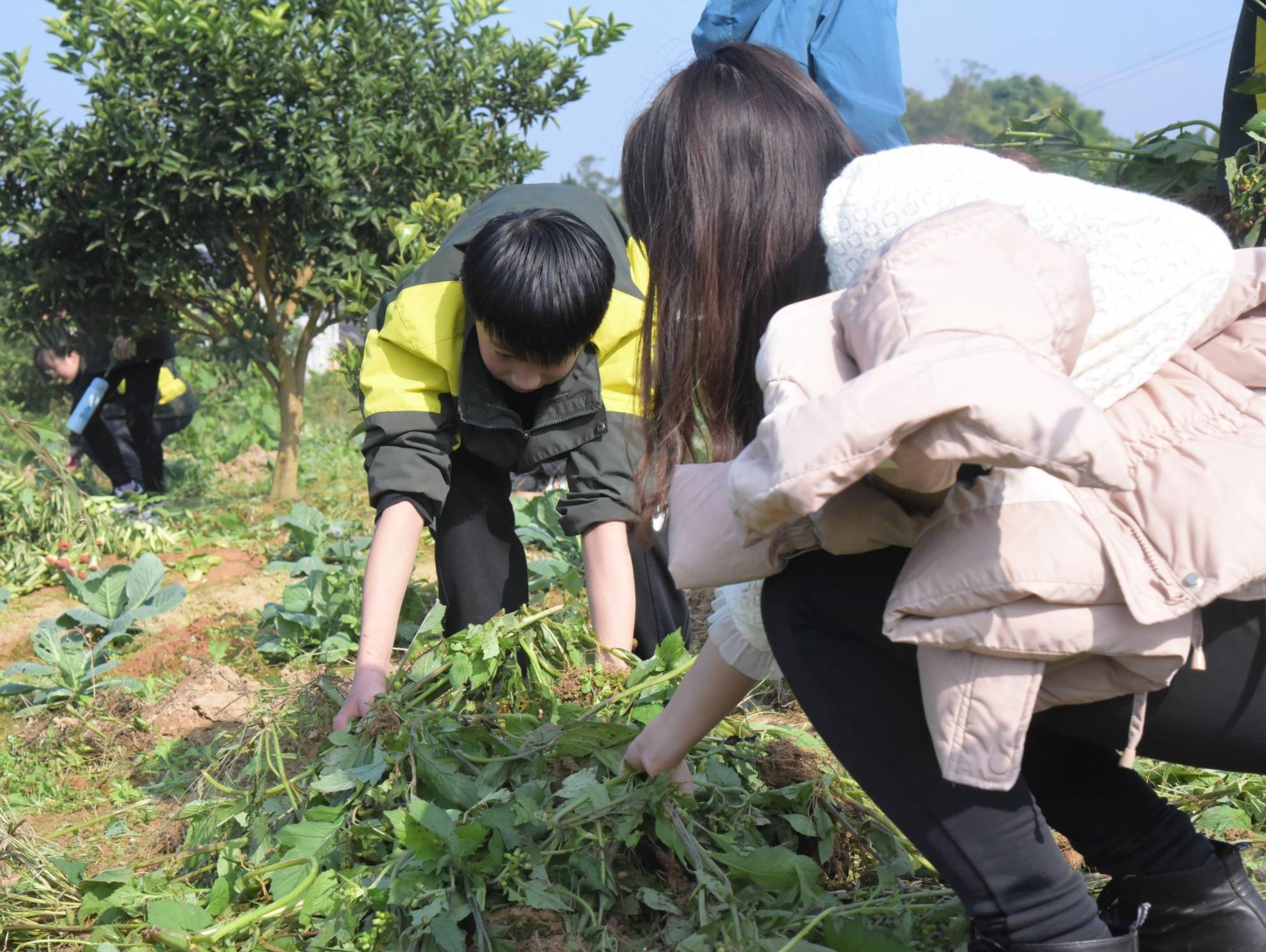 罗伟强|城南初级中学：劳动励心智 实践促成长