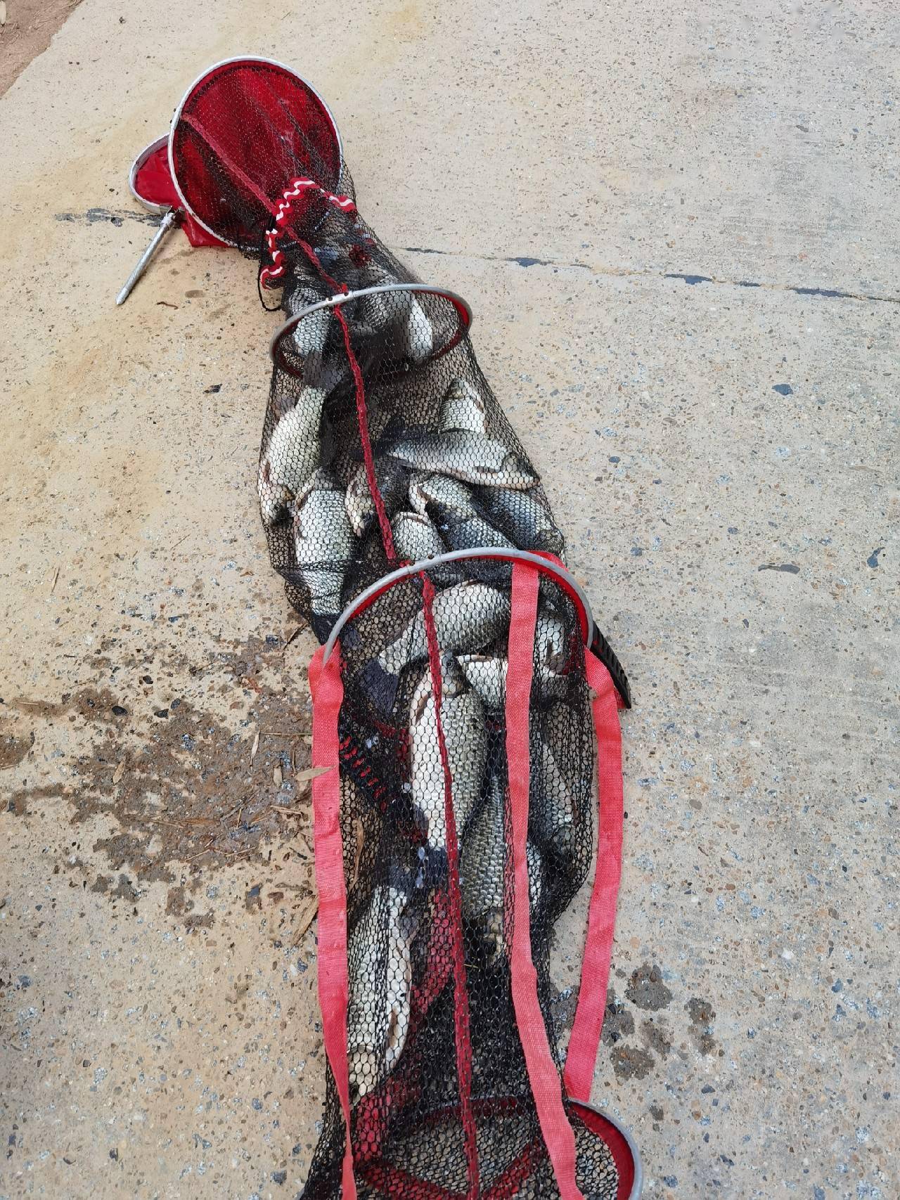 官庄水库野钓爆护之旅看看大师如何用户实践来证明