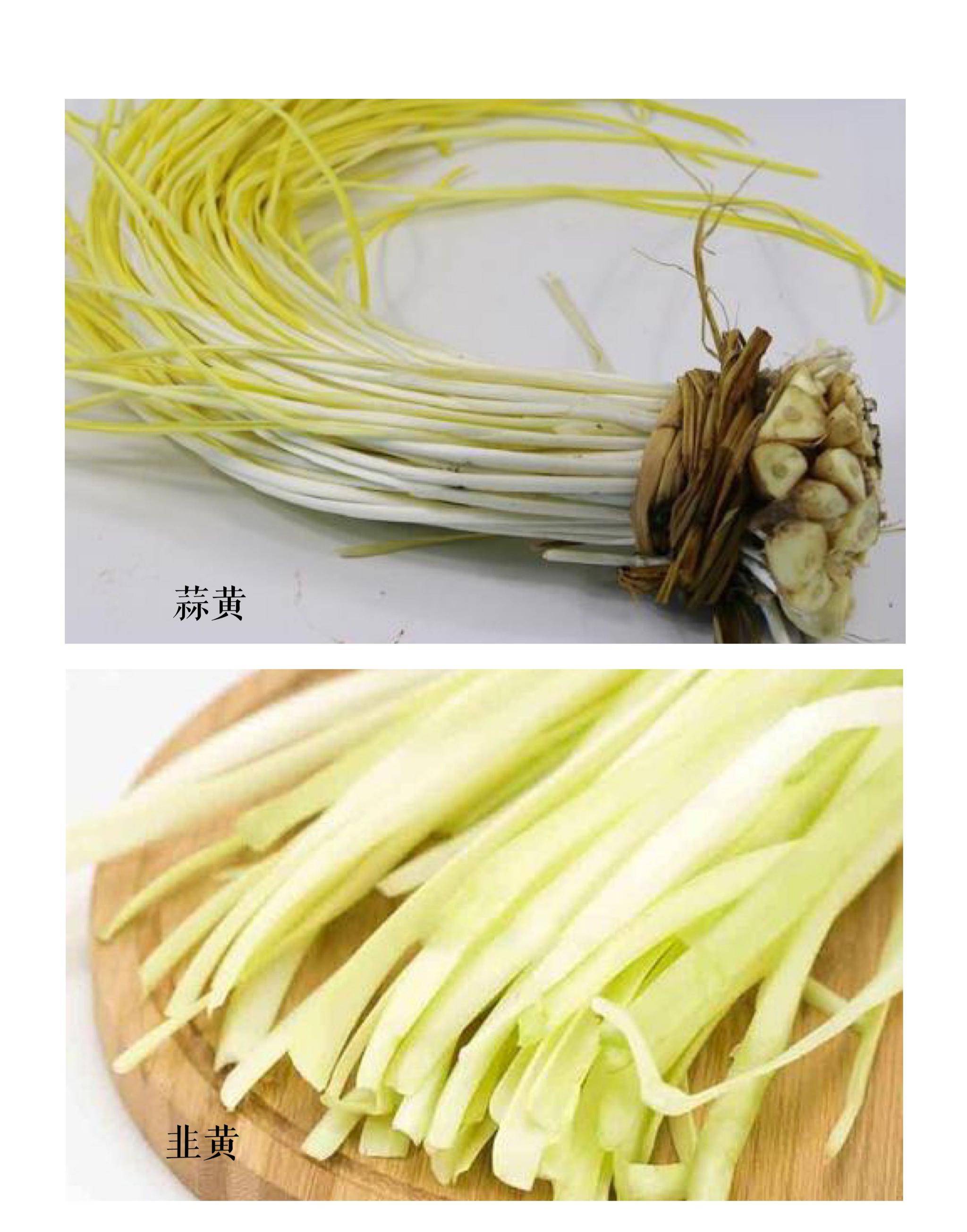 2:闻味道:蒜黄带有清香味,辣味不浓;而韭黄有强烈的刺鼻味道.