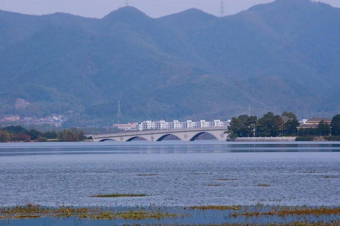 季节|宁波这地方又双叒叕刷屏了！这个季节，美得像画卷~