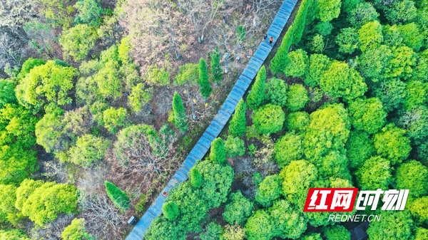 山景|湖南新田：初冬翰林山景美如画