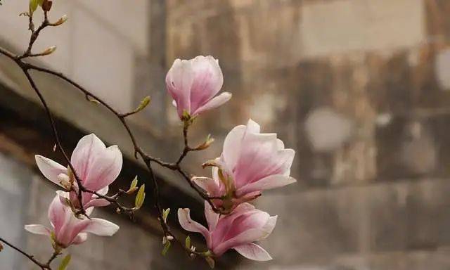 射手座和摩羯座 11月29日 12月5日 一周运势解析 方面 关系 未来