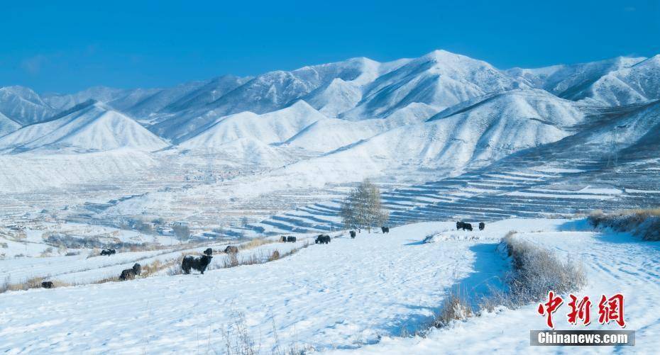 冰雪|甘肃榆中冬日冰雪晶莹似童话世界