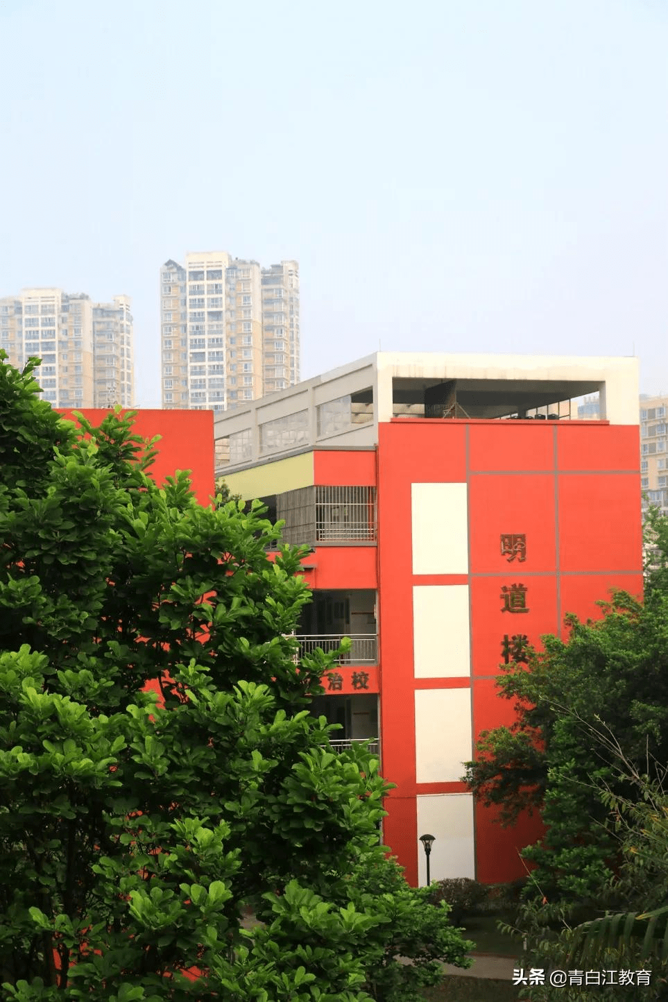 青白江中学充满历史气息的党史文化长廊能走遍"全世界"的地理园被绿植