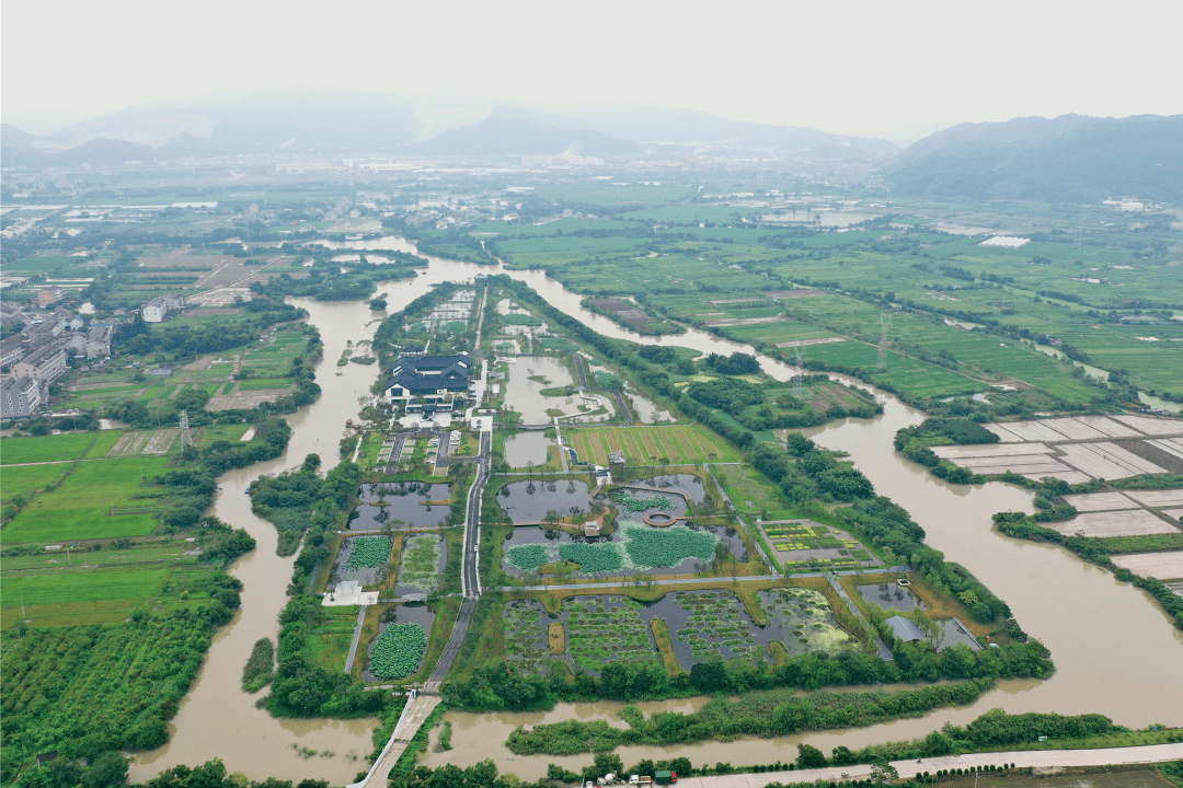 aecom圩田湿地生境修复案例浙江鉴洋湖湿地公园首启区