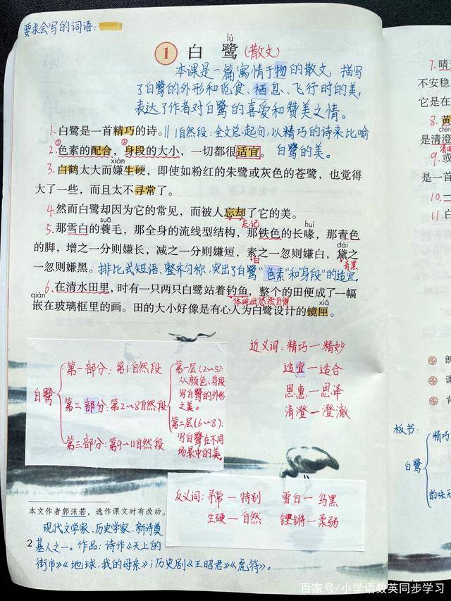 小学语文五年级上册第1课《白鹭》超详细教师笔记_本课_目标_课文