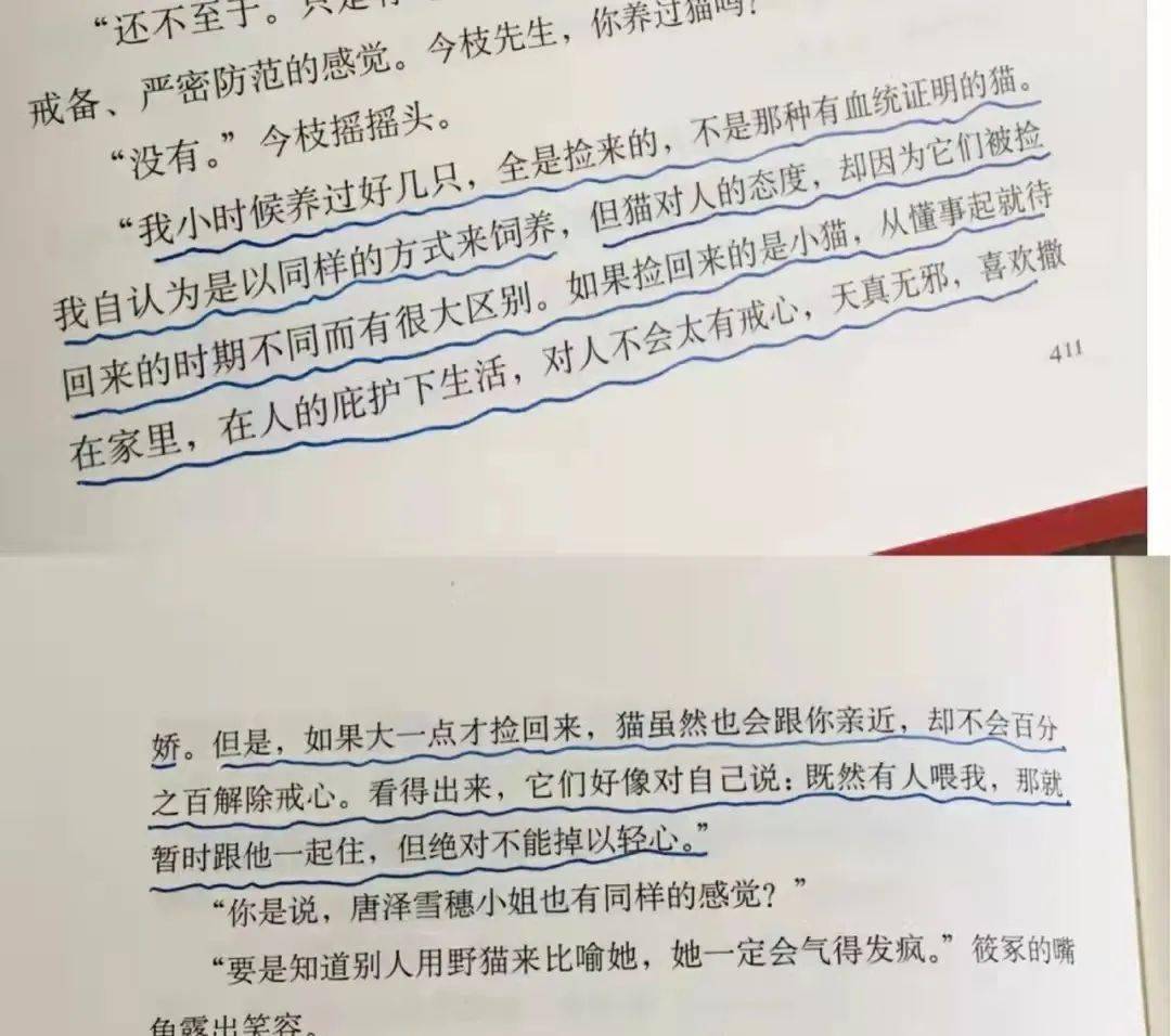 山商书苑好书推荐白夜行