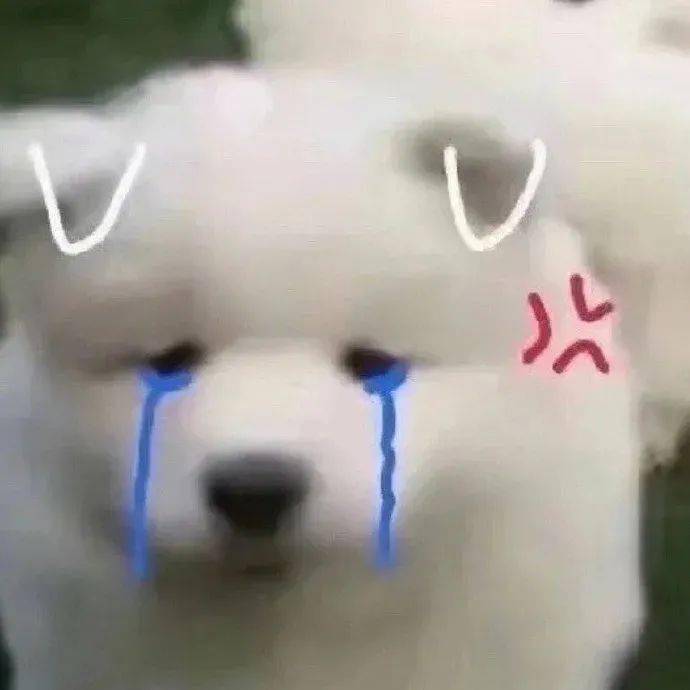 狗狗表情包有点想哽咽