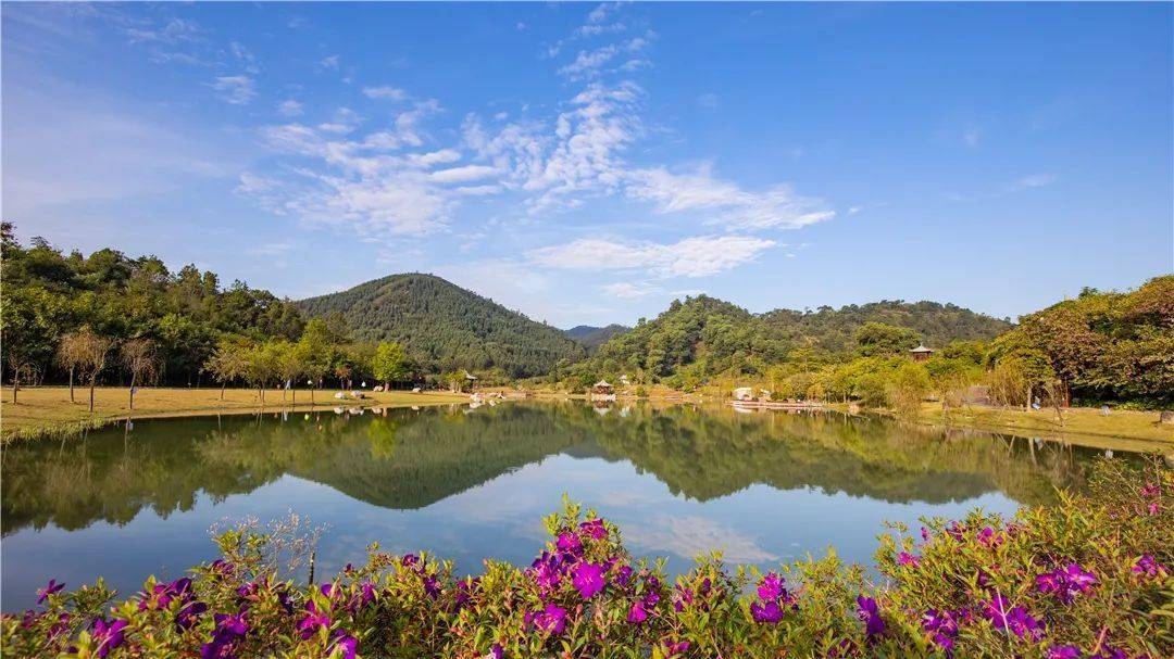 冬日的新兴记得去赏赏这些美景