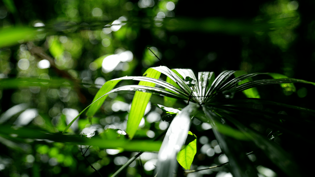 a90de12bf57c4356b7c2510da39220c0.png