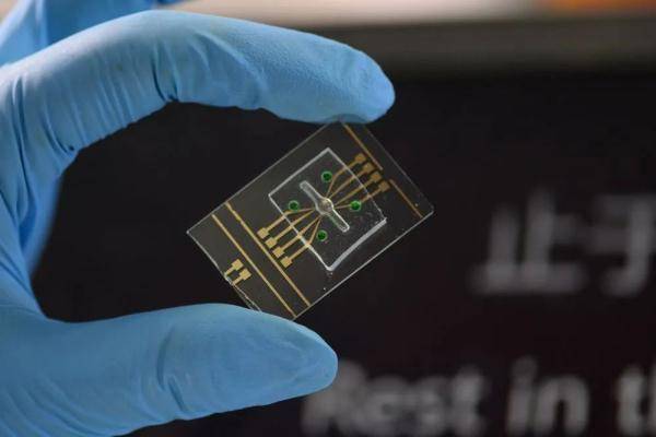 真·刻进DNA！有人把校训存进了DNA序列……