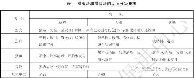 学习鸡民必备国内外鸡蛋分级标准不再神秘