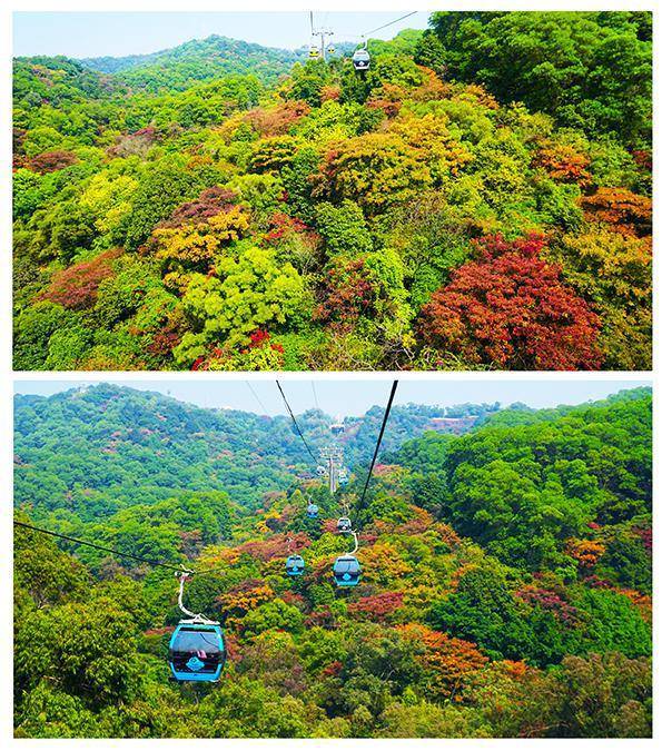 白云山风景区是国家5a级景区,位于广州市的中北部,自古就有羊城第一