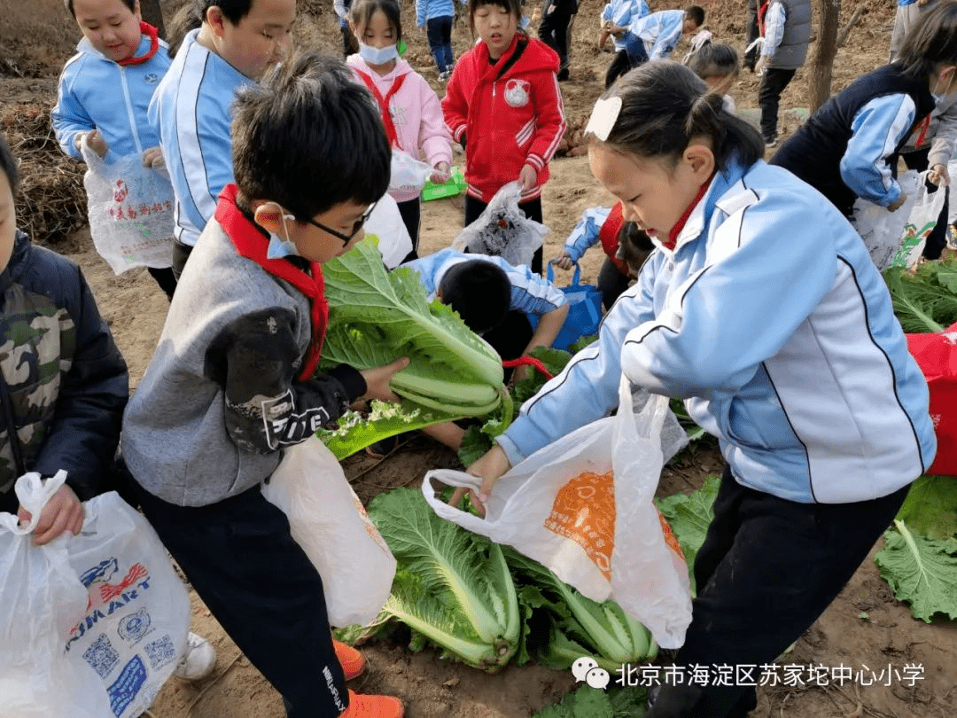 现代教育|乡村观教 | 乡土情怀课程实施效果与反思