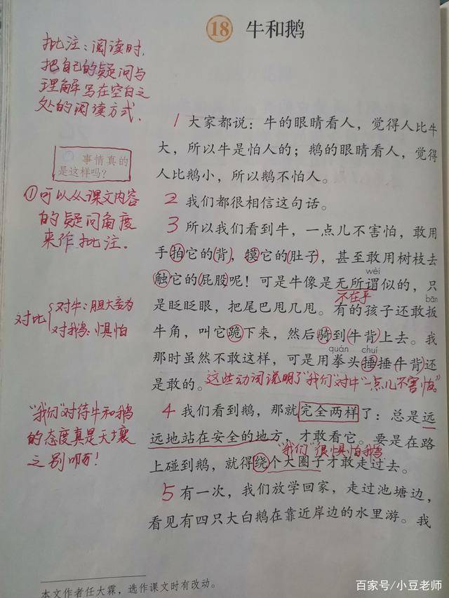 四年级语文上册18课牛和鹅课文学习学会如何批注