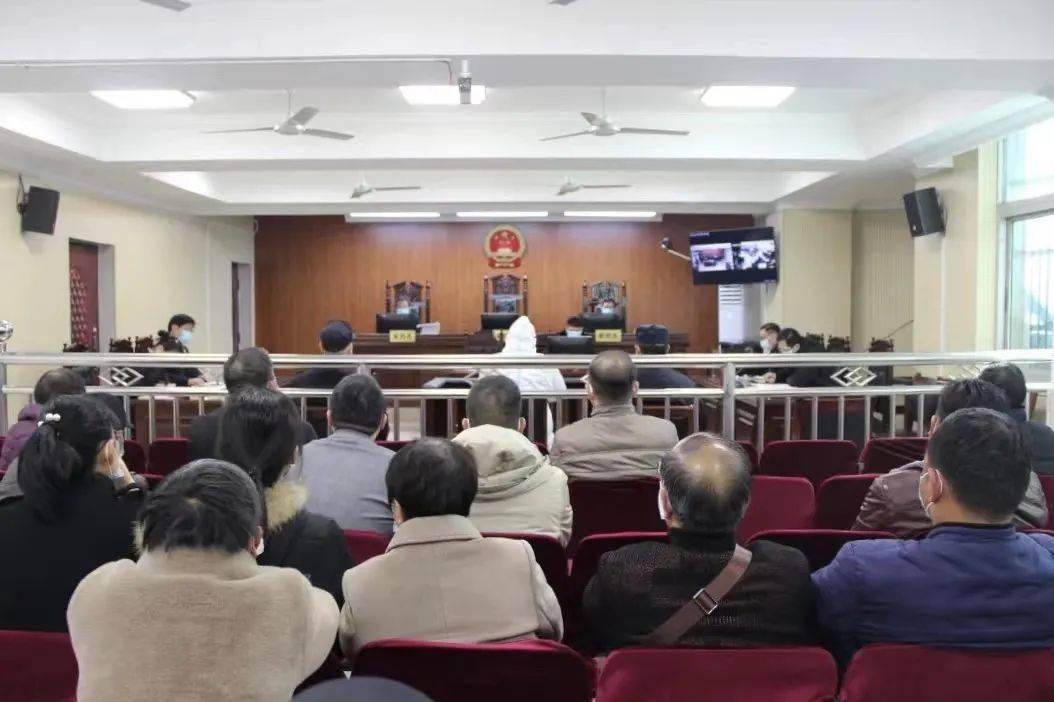 涡阳_张作飞_丹城镇