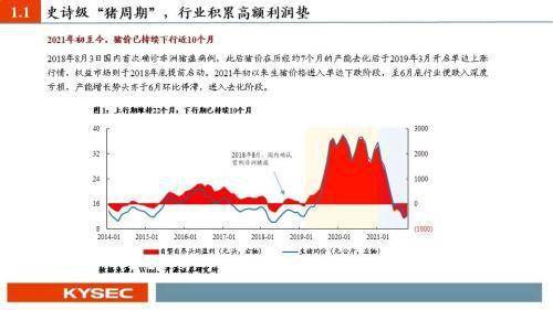 策略|农林牧渔2022年度投资策略：猪周期反转在即，种植链景气延续