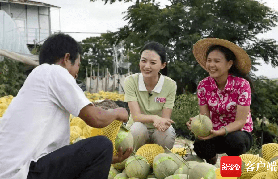 黄凌燕_农户_辣椒