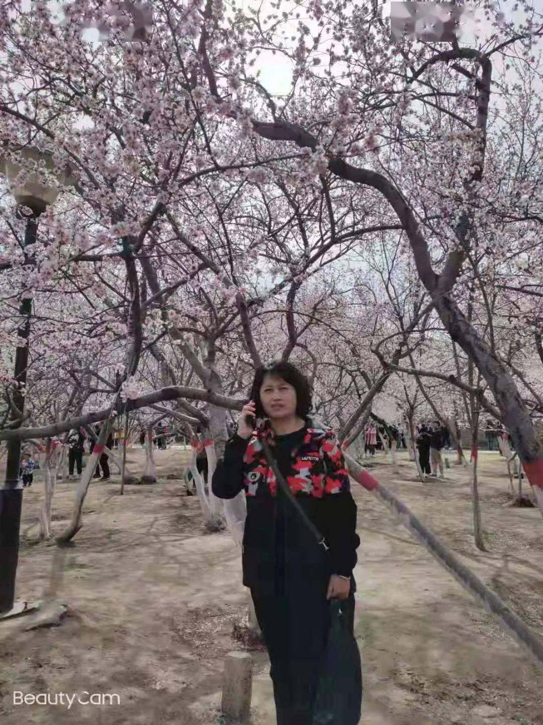 《独生子女的婆婆妈妈》观后感_生活_艾语_李小曼