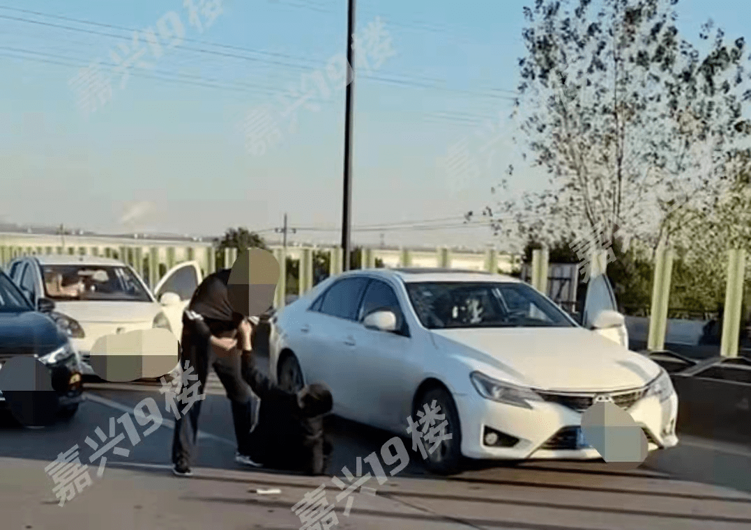 抡拳头,拽衣领,对着脑袋狠狠两拳 下手太凶!事发北郊河大桥!