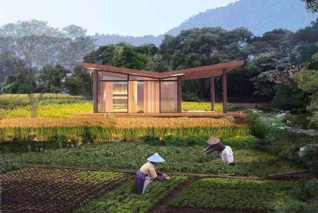 芦山村的农村环境改造提升的不仅仅是村庄的样貌,对于芦山村的招商引