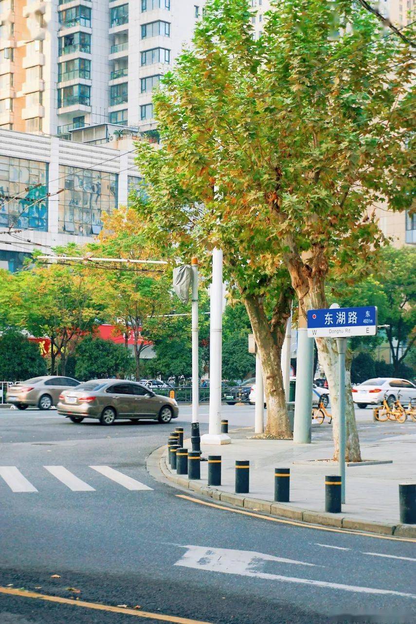 东湖路因武汉相当出名的"东湖"而被命名.