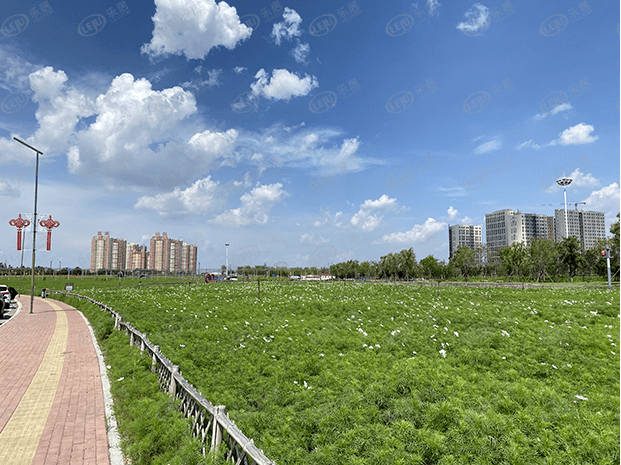 总价64万起 建面80-112㎡高层洋房 远洋首入沈北新作测评来了!