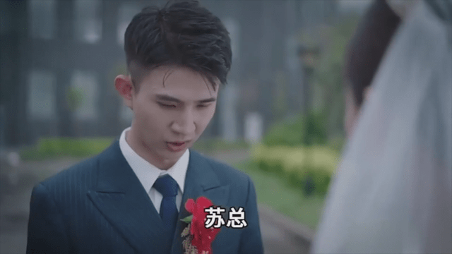 龙王赘婿演员表 4c61bdeecdcd4c1a9396dcd39c8b9528.png
