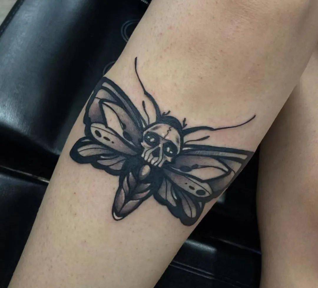 飞蛾扑火的飞蛾纹身