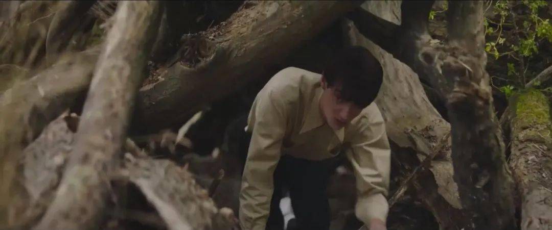 角色|颁奖季！深柜之死，是一场温柔的诱杀