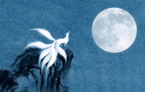 未解之谜,狐狸精究竟是男还是女?