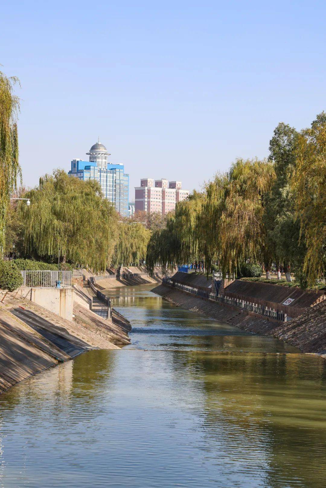 金水河_城市_工程