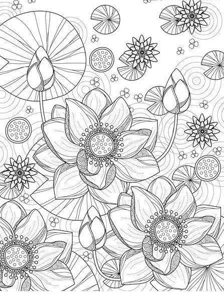 【黑白线稿】植物,花卉白描线稿,临摹素材_白描_花卉_植物