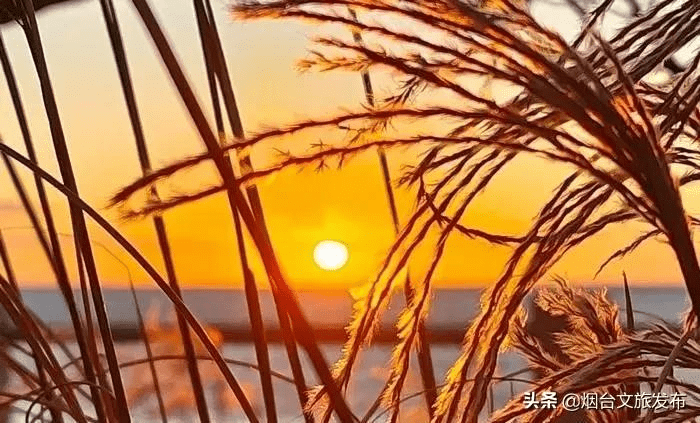 海面|长岛晚霞，一处藏在山海尽头的冬色秘境