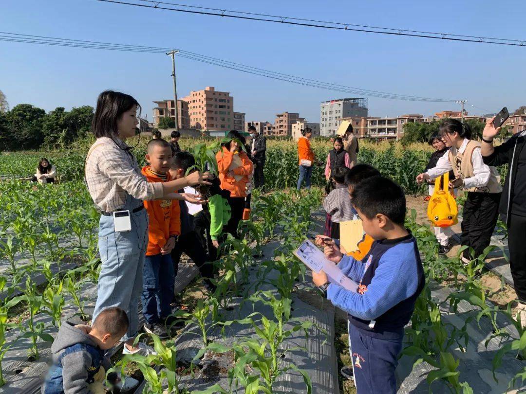 社科普及宣传周巾帼田间知识科普来啦孩子们玩得开心学得快乐