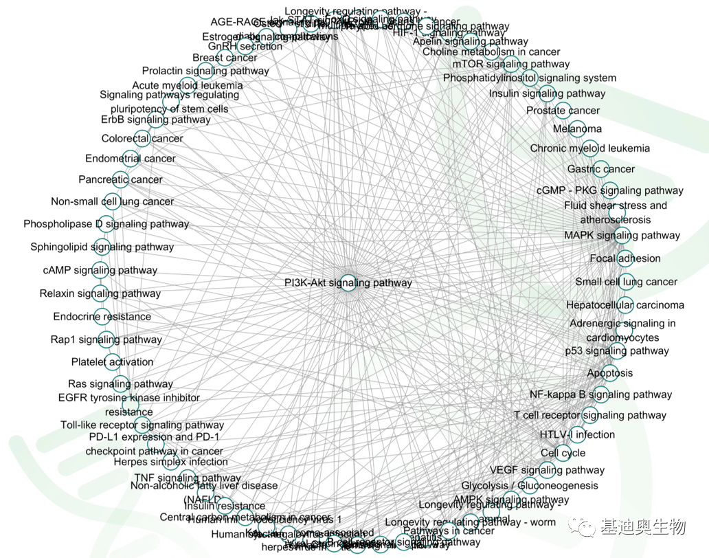 PI3K-AKT通路专题解析（上）_信号_Kegg_核心