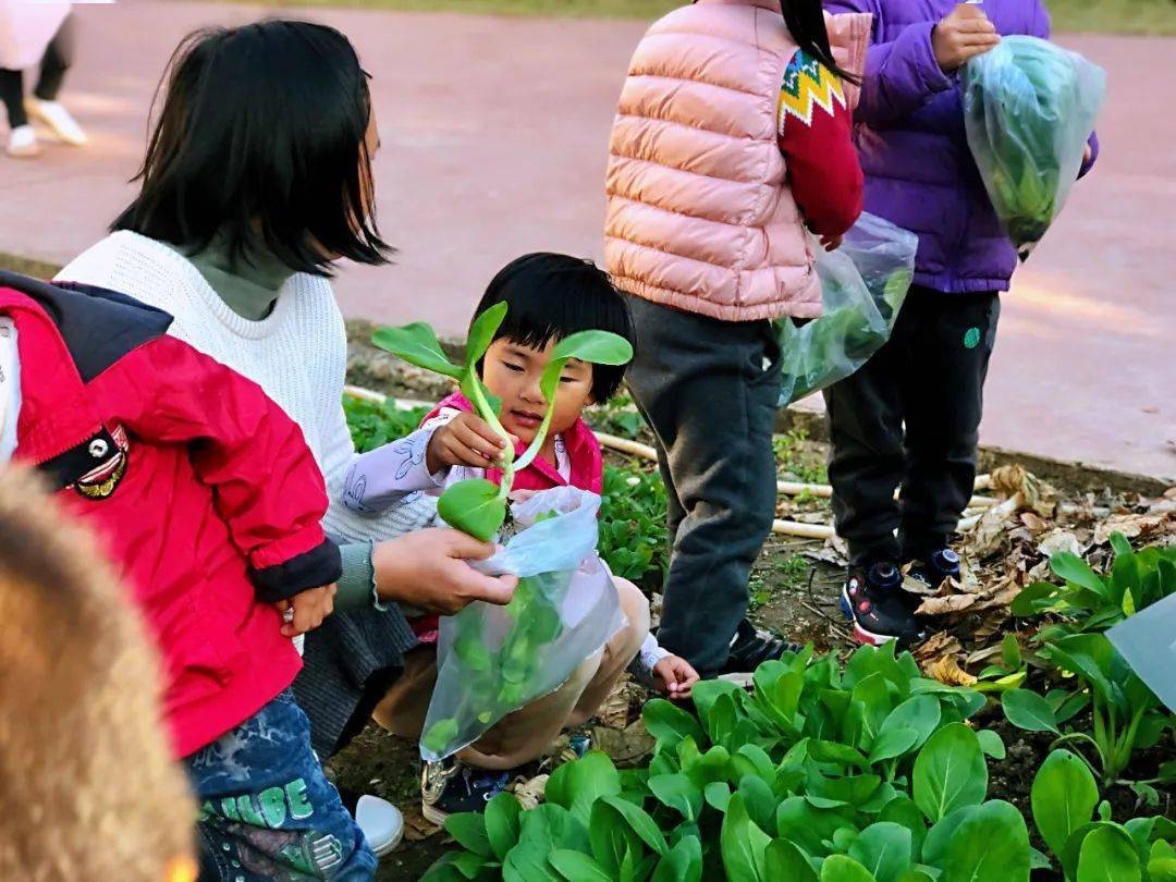 因为|花了这么多钱，竟然把孩子送进“这么脏”的幼儿园？