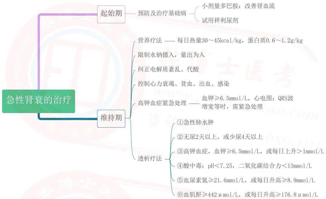 临床泌尿系统思维导图