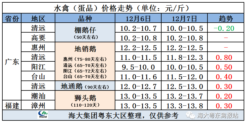 20211208明天鸭子价格鸭价即将大涨黄金鸭马上翻红
