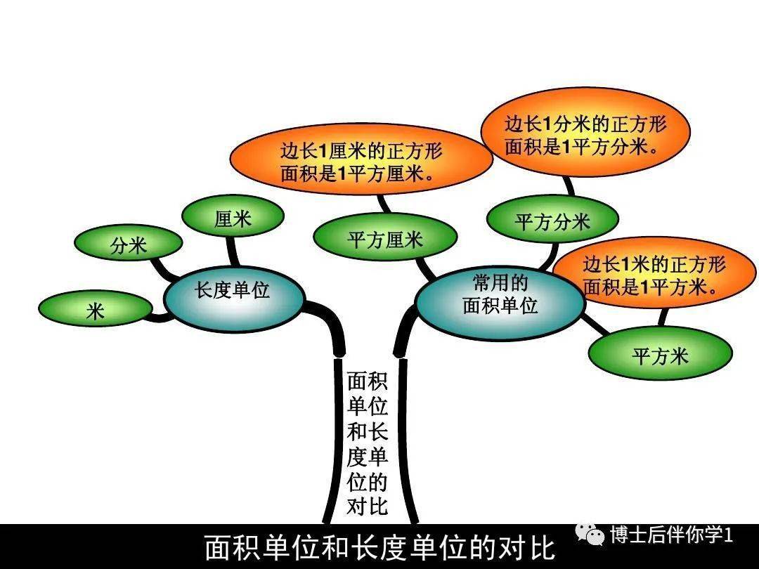 【博士后伴你学】三年级下册数学知识树