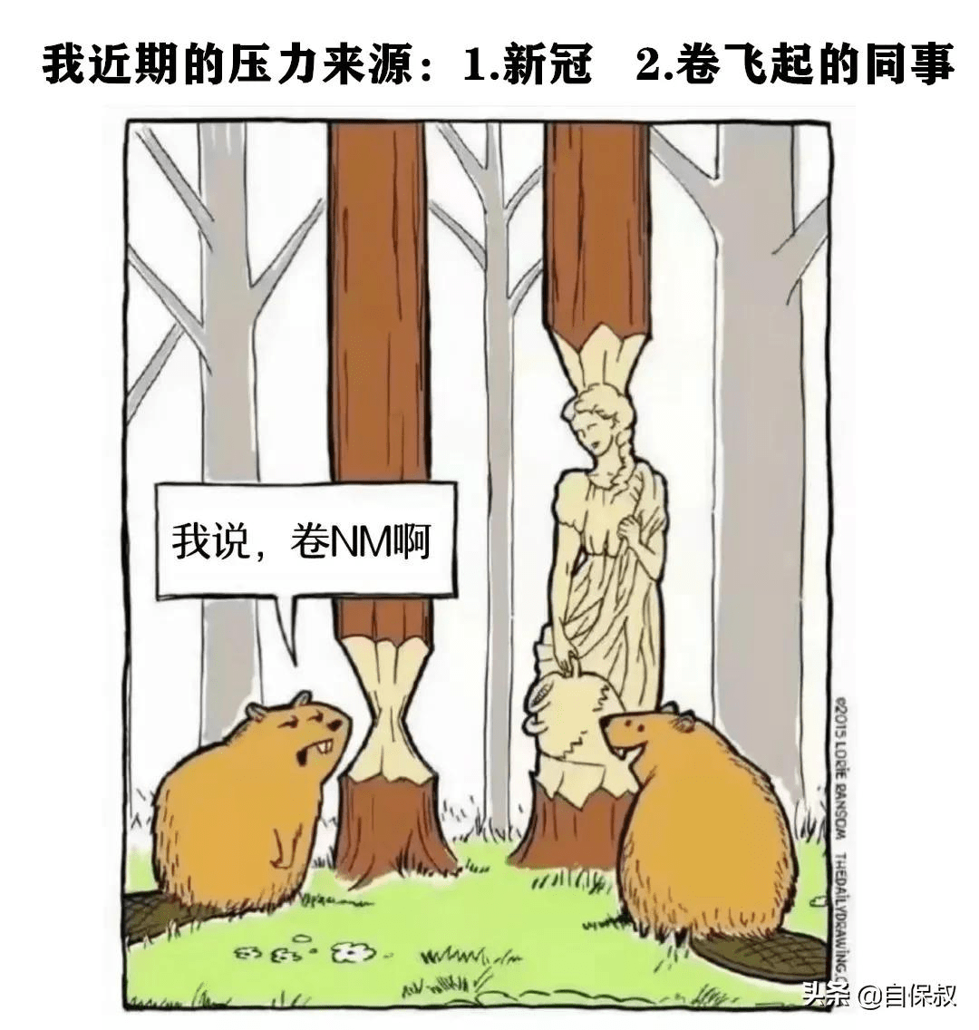 57ac14b6710e4ac4a3ec077d55a8faa5.png