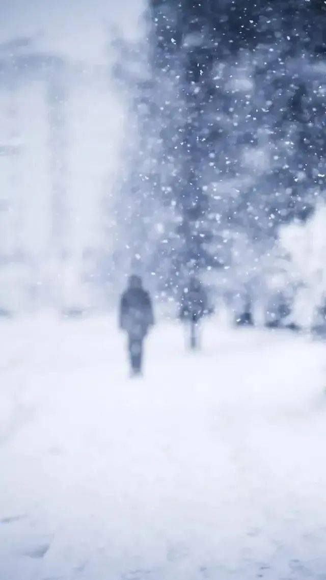 大雪飘飘北风萧萧图片